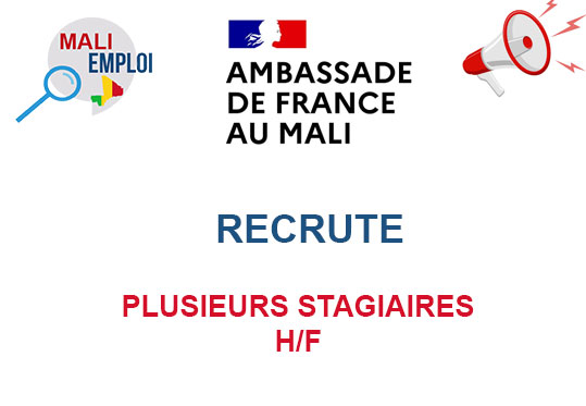 AMBASSADE DE FRANCE AU MALI RECRUTE PLUSIEURS STAGIAIRES H/F