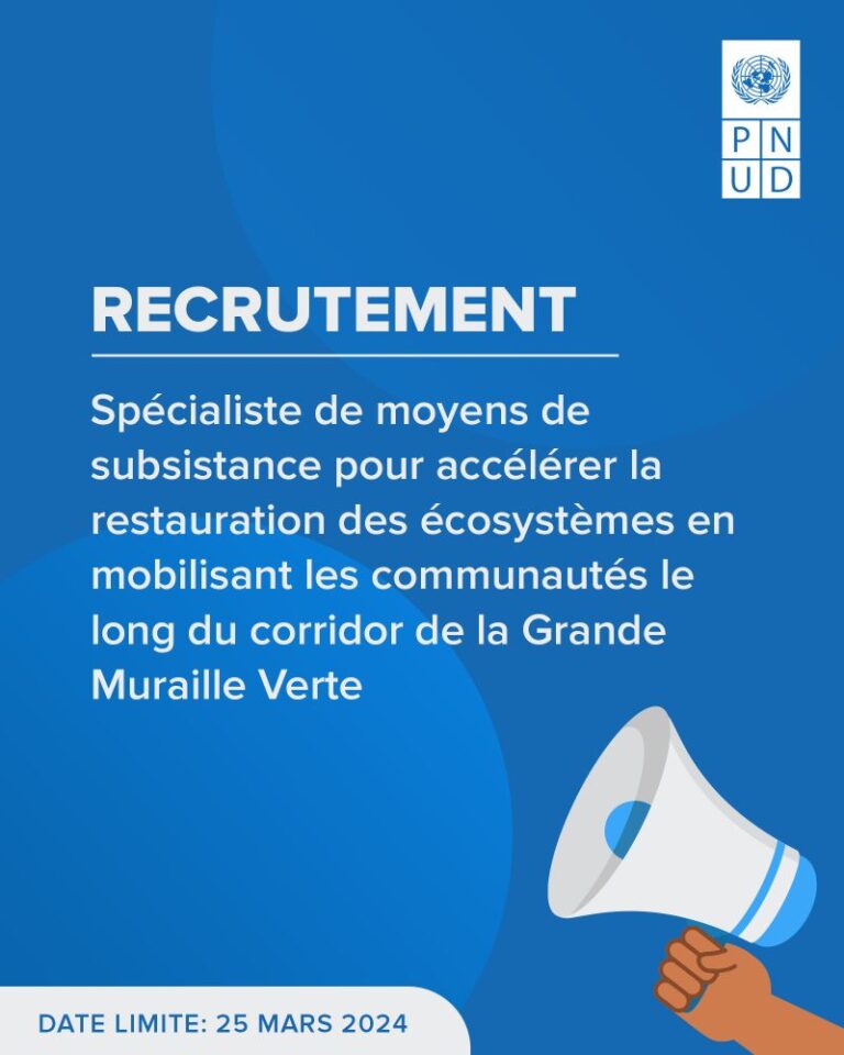 Pnud Recrute Consultant H F Y A Bara Offres D Emplois Et Stages