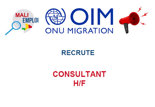 OIM RECRUTE CONSULTANT H/F