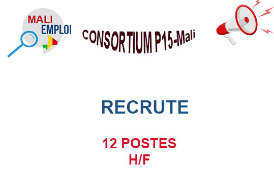 CONSORTIUM P15-Mali RECRUTE 12 POSTES H/F, 