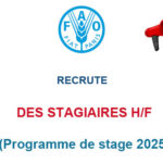 PROGRAMME DE STAGE FAO 2025