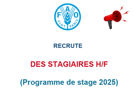 PROGRAMME DE STAGE FAO 2025