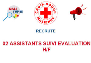 CROIX ROUGE MALIENNE RECRUTE 02 ASSISTANTS SUIVI EVALUATION H/F