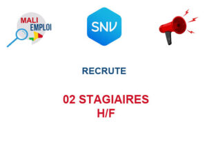02-STG