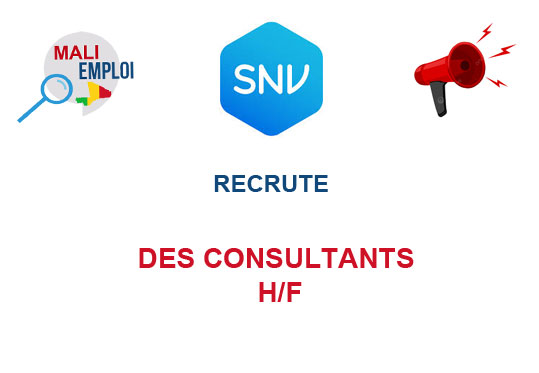 SNV RECRUTE DES CONSULTANTS H/F