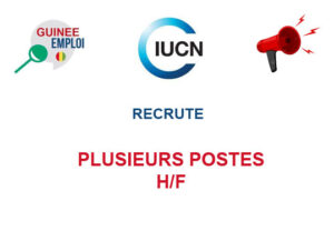 UICN GUINEE RECRUTE PLUSIEURS POSTES H/F
