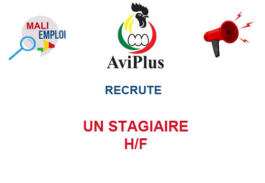 AVI PLUS MALI RECRUTE STAGIAIRE H/F