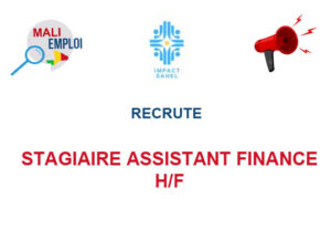 IMPACT SAHEL RECRUTE STAGIAIRE ASSISTANT FINANCE H/F