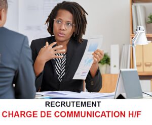 TILWALTE PEACE NETWORK RECRUTE CHARGE DE COMMUNICATION H/F
