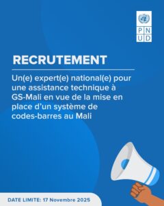 PNUD MALI RECRUTE EXPERT NATIONAL H/F 1762507650739