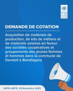 DEMANDE DE COTATION PNUD MALI 1763724316870