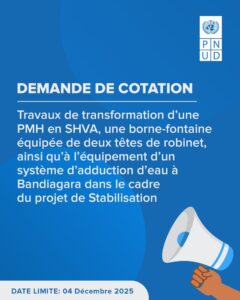 DEMANDE DE COTATION PNUD MALI 1763725229261