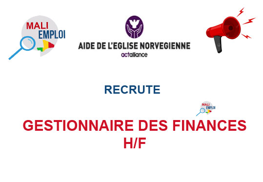 ONG AIDE A L'EGLISE NORVEGIENNE (AEN) RECRUTE GESTIONNAIRE DES FINANCES H/F