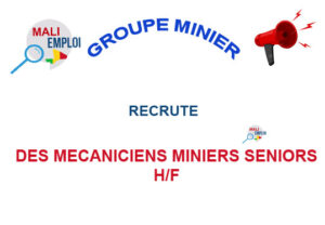 GROUPE MINIER RECRUTE DES MECANICIENS MINIERS SENIORS H/F MECMIN