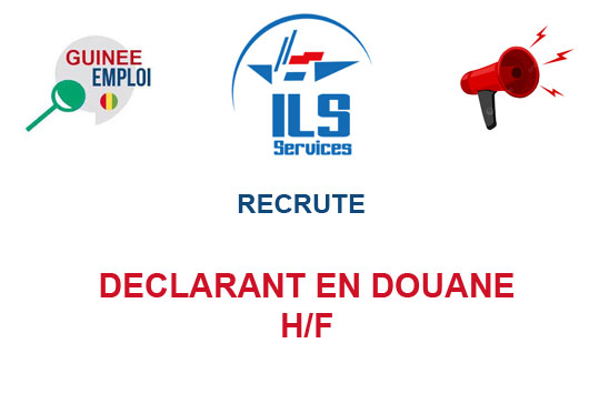 ILS SERVICE S.A.S RECRUTE DECLARANT EN DOUANE H/F