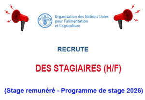 FAO RECRUTE DES STAGIAIRES - PROGRAMME DE STAGE FAO 2026