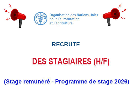 FAO RECRUTE DES STAGIAIRES - PROGRAMME DE STAGE FAO 2026