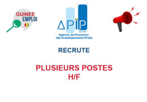 APIP-GUINEE RECRUTE PLUSIEURS POSTES H/F