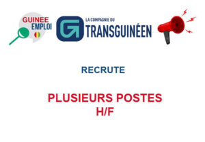 COMPAGNIE DU TRANSGUINEEN RECRUTE PLUSIEURS POSTES H/F
