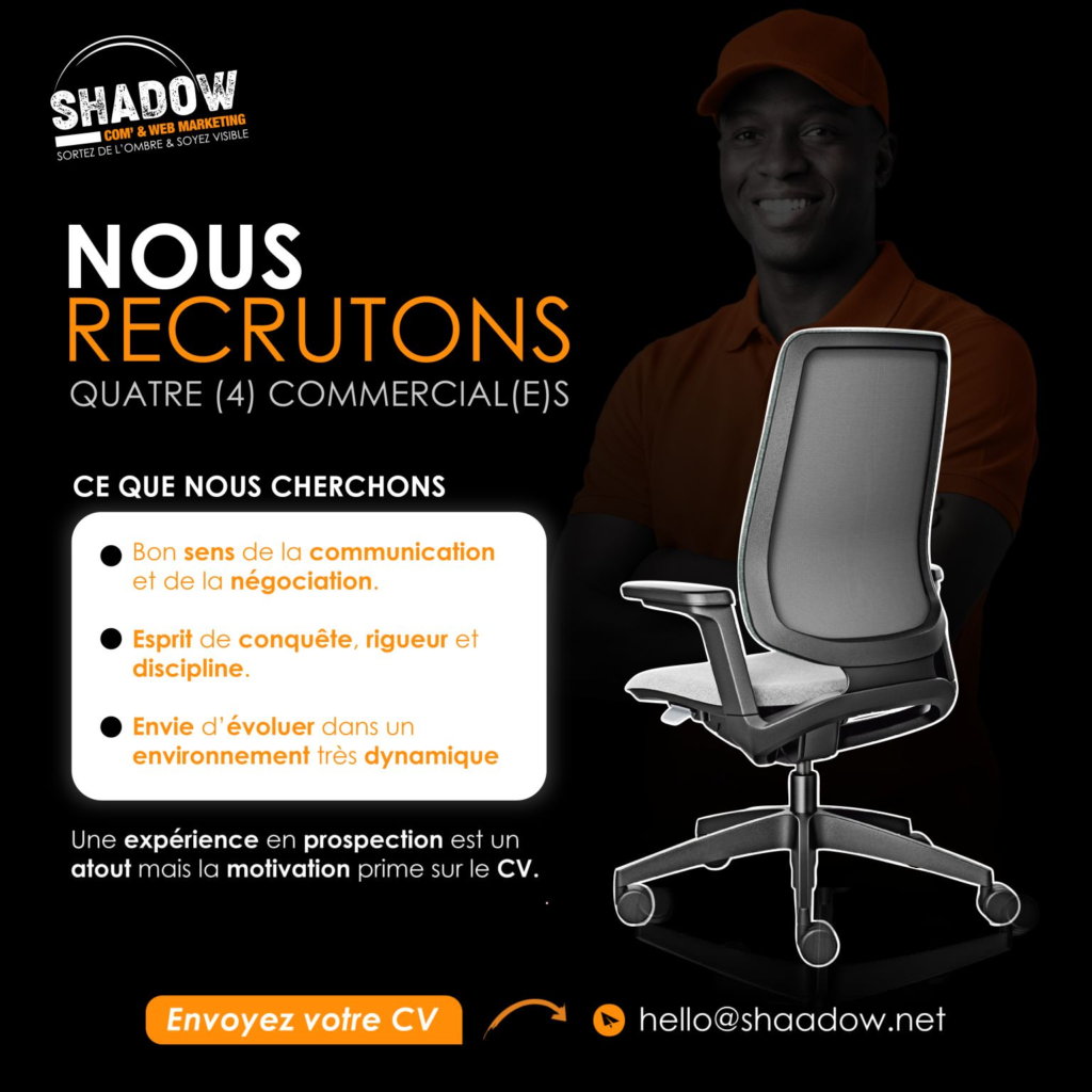 SHADOW NIGER RECRUTE 06 POSTES H/F 