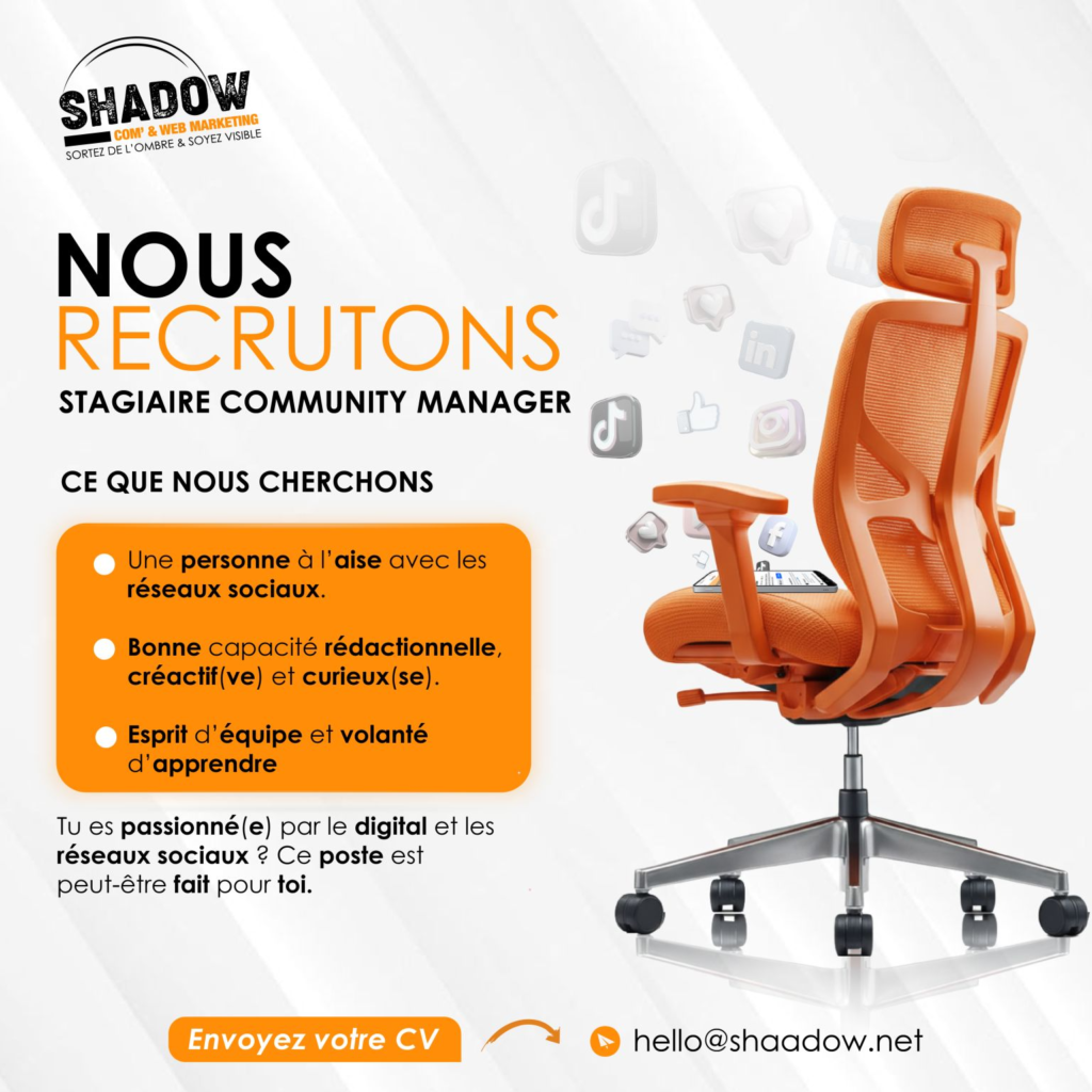 SHADOW NIGER RECRUTE 06 POSTES H/F 