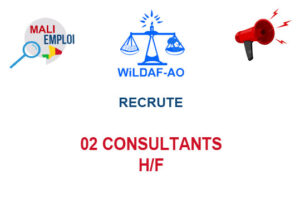 WILDAF MALI RECRUTE 02 CONSULTANTS H/F