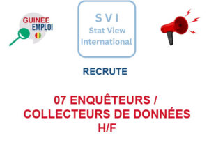 STAT VIEW INTERNATIONAL RECRUTE 07 ENQUETEURS H/F