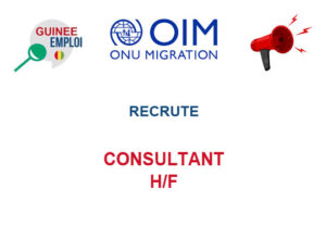 OIM GUINEE RECRUTE CONSULTANT H/F