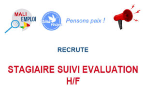 THINK PEACE RECRUTE STAGIAIRE MEAL H/F STGS