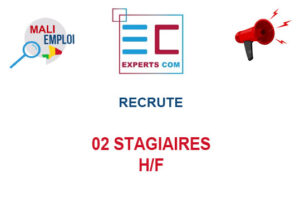 EXPERTS COM RECRUTE 02 STAGIAIRES H/F 02-STG