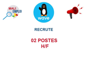 WAVE MALI RECRUTE 02 POSTES H/F image