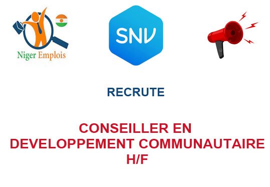 SNV NIGER RECRUTE CONSEILLER EN DEVELOPPEMENT COMMUNAUTAIRE PARTICIPATIF H/F