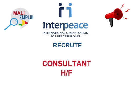 INTERPEACE RECRUTE CONSULTANT H/F