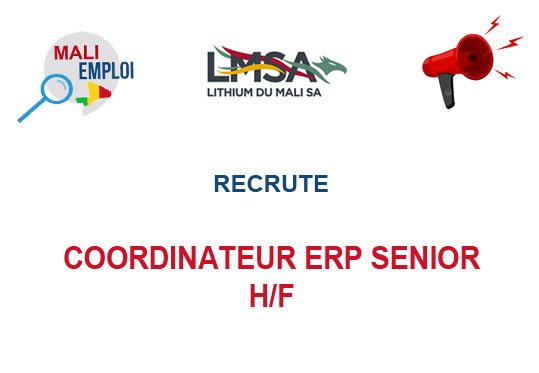 LITHIUM DU MALI RECRUTE COORDINATEUR ERP SENIOR H/F