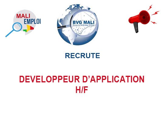 BUREAU DU VERIFICATEUR GENERAL MALI RECRUTE DEVELOPPEUR D'APPLICATION ET PROGICIELS H/F