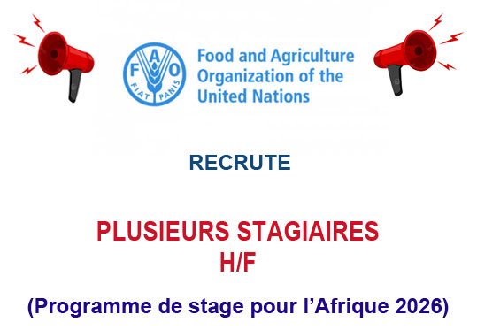 FAO RECRUTE PLUSIEURS STAGIAIRES- PROGRAMME DE STAGE POUR L'AFRIQUE 2026