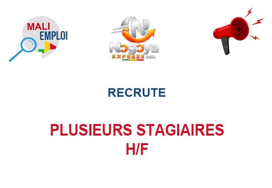 NOGOYA EXPRESS RECRUTE PLUSIEURS STAGIAIRES H/F